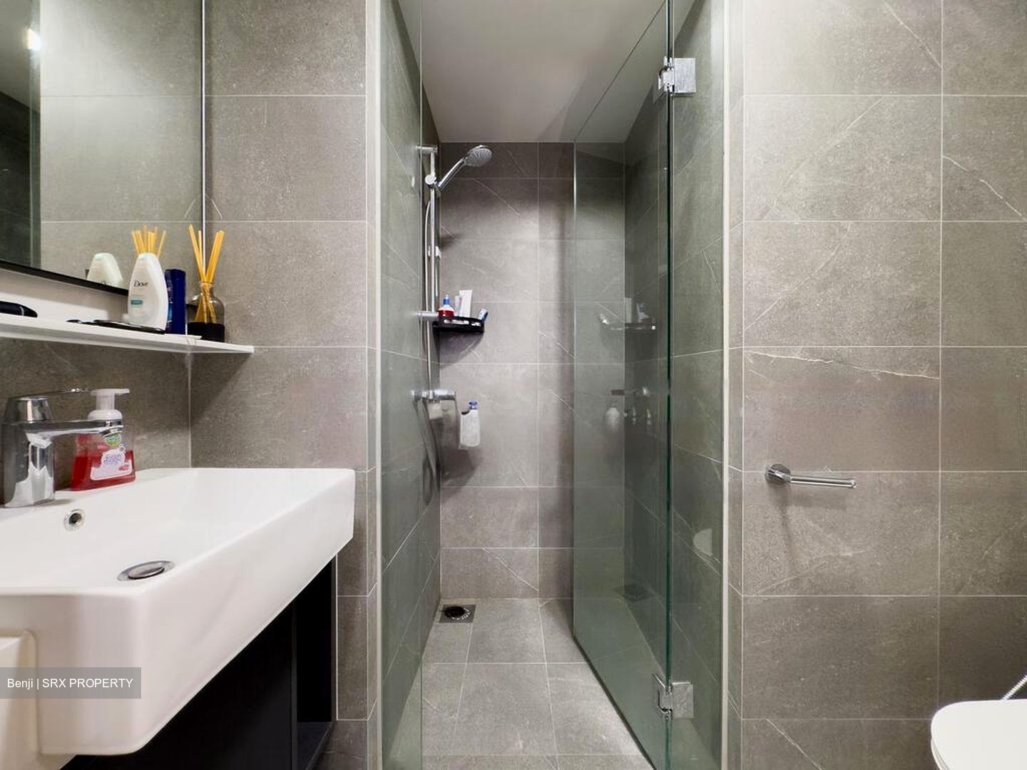 Riverfront Residences (D19), Apartment #472439861